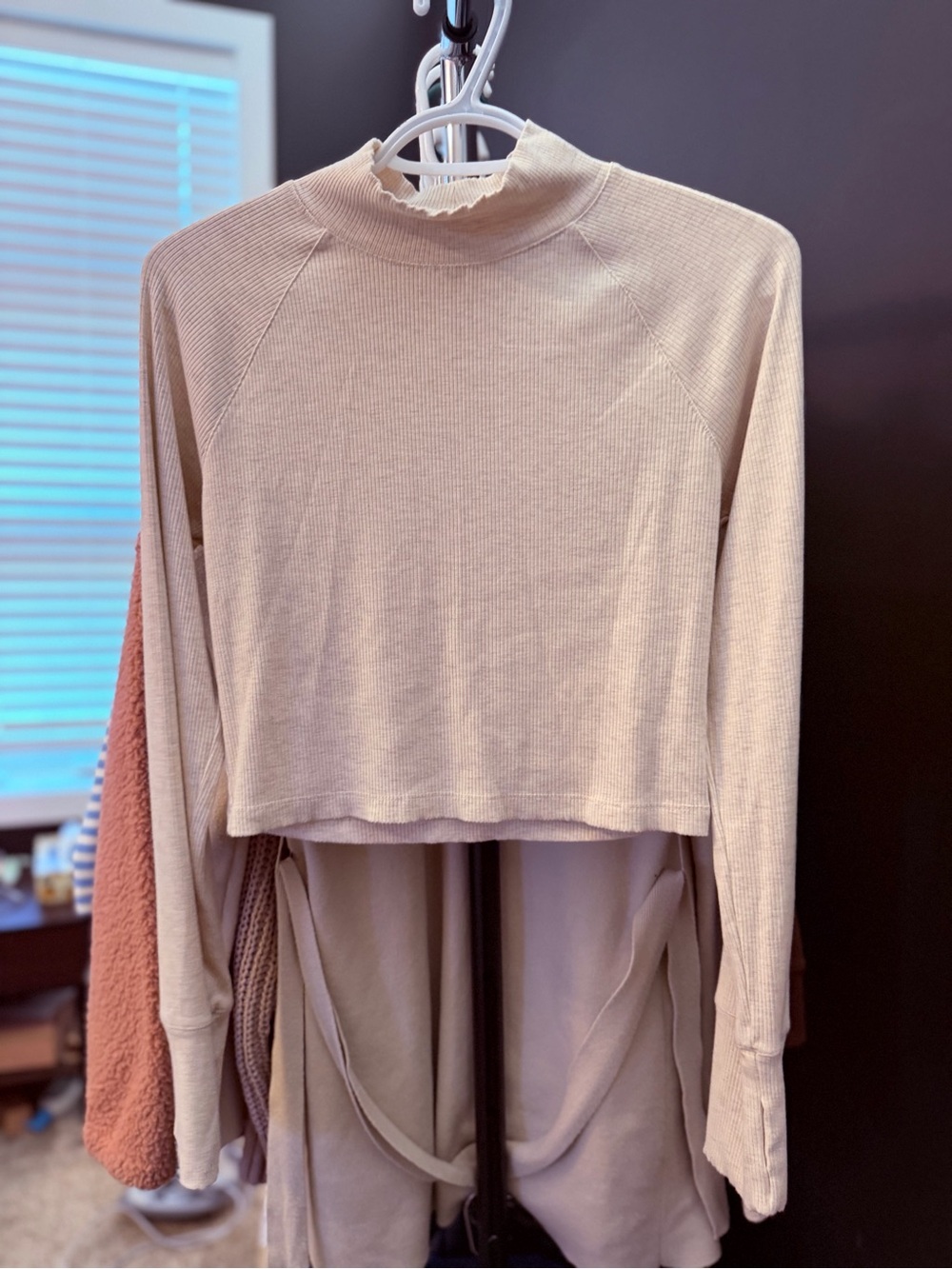 Aerie | Cream Ribbed Mock Neck Long-Sleeve Crop Top | M